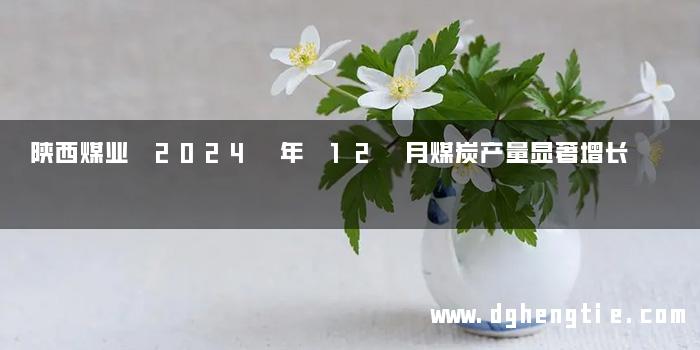 陕西煤业 2024 年 12 月煤炭产量显著增长